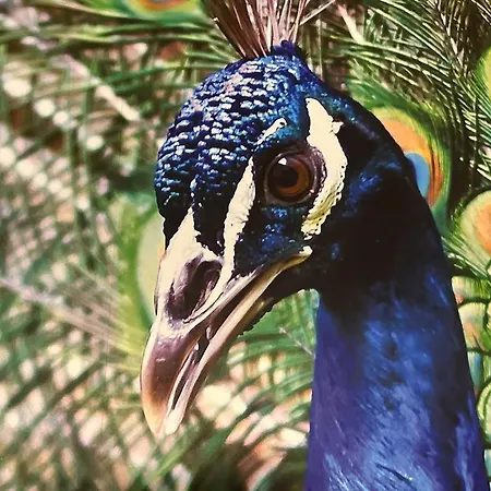 Familienwohnung Am Pfaffenteich דירה *